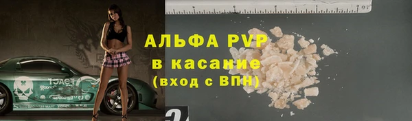 эйфоретик Арсеньев