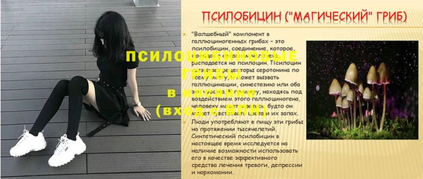 эйфоретик Арсеньев