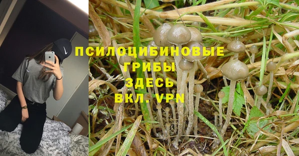 эйфоретик Арсеньев