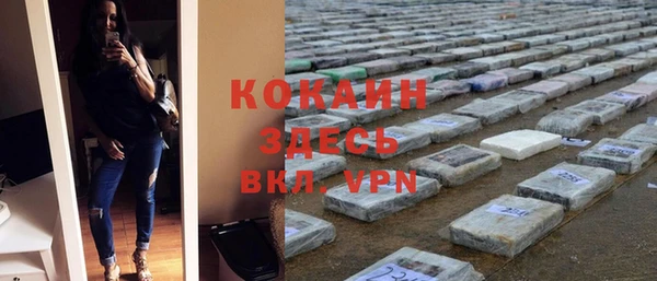 эйфоретик Арсеньев