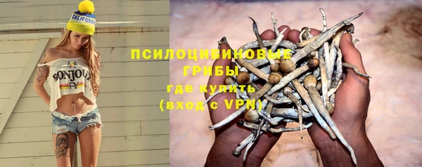 спиды Армянск