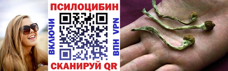Галлюциногенные грибы Psilocybe Курган